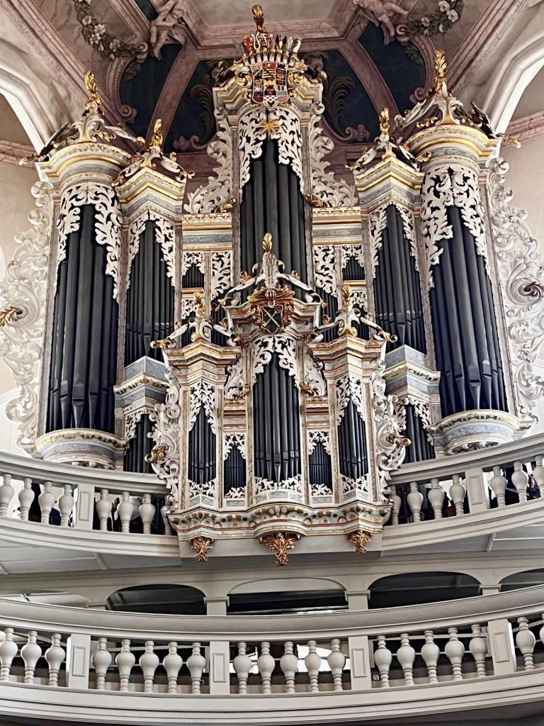 Nahaufnahme der prächtigen Hildebrandt-Orgel in der Naumburger Wenzelskirche. Das barocke Instrument besticht durch weiß-goldene, filigrane Holzschnitzereien, kunstvolle Ornamente und imposante, dunkle Orgelpfeifen vor einer hellen Gewölbedecke mit Deckenmalerei.