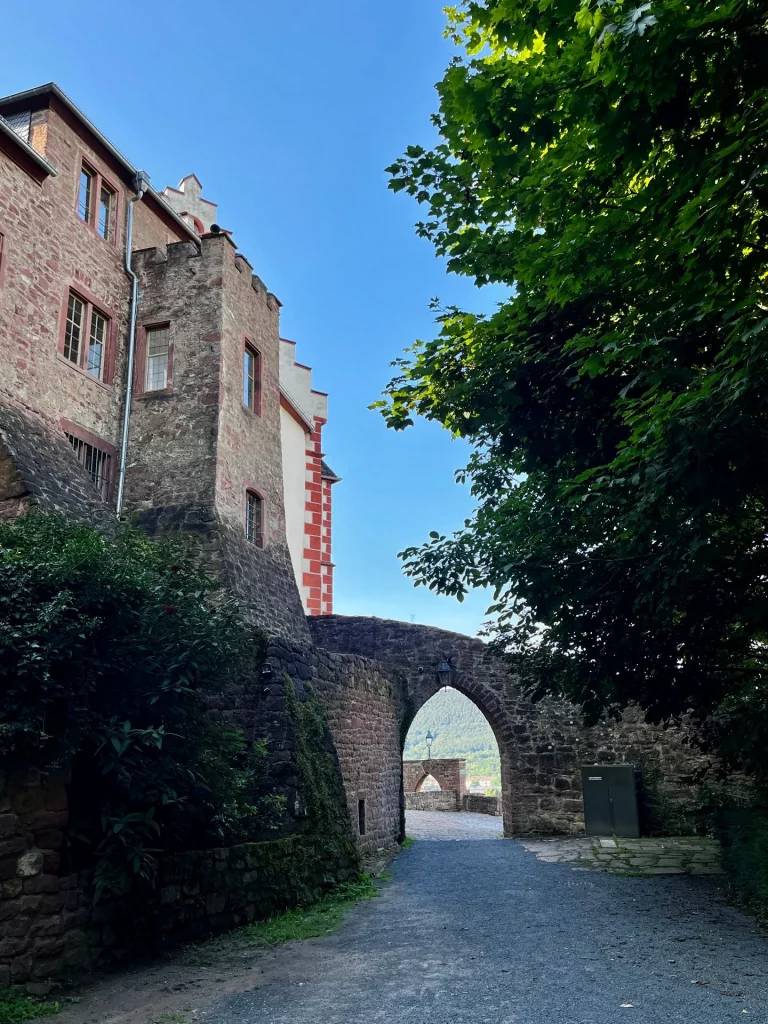 Ein großer, spitzbogiger Durchgang in der massiven Burganlage der Mildenburg führt zu einem Aussichtspunkt; links ragt ein wehrhafter Turm mit Zinnen auf.