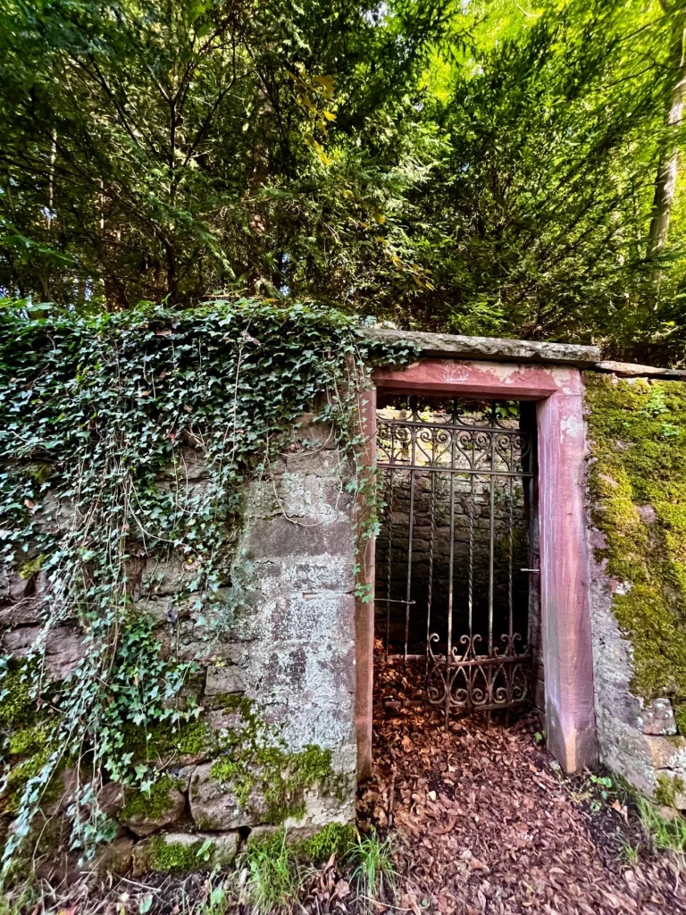 Ein kunstvoll verziertes, schmiedeeisernes Tor in einer alten, mit dichtem Efeu bewachsenen Sandsteinmauer. Das Tor führt in einen schattigen, mit braunem Herbstlaub bedeckten Bereich unter hohen Bäumen.