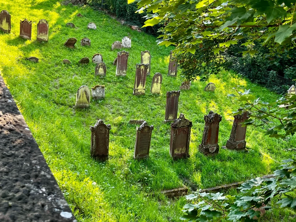 Alte Grabsteine auf dem historischen jüdischen Friedhof, verteilt über einen grünen Hang.
