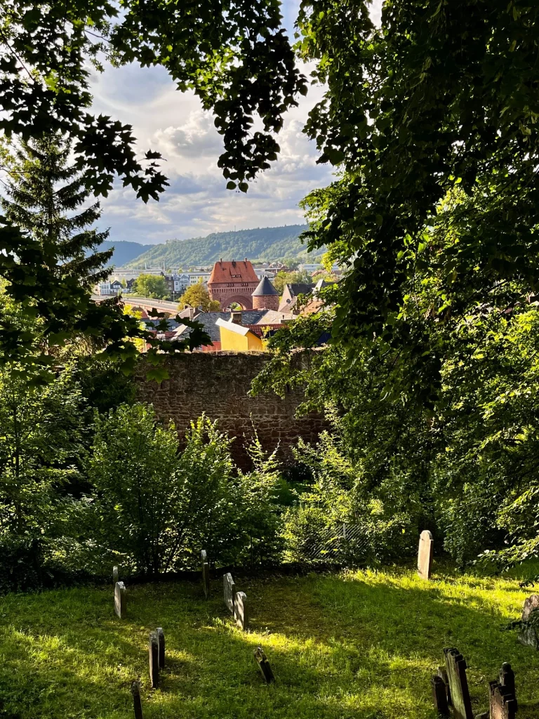 Blick über einen historischen jüdischen Friedhof in Hanglage. Alte, bemooste Grabsteine aus rotem Sandstein stehen zwischen hohen Bäumen unter einem lichten Blätterdach.