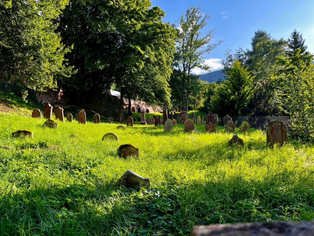 Panoramablick über den alten jüdischen Friedhof von Miltenberg mit historischen Grabsteinen.