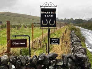 Ein schwarzes Metallschild mit der Aufschrift „BURNSIDE FARM“ und zwei Hufeisen steht an einer Steinmauer. Daneben weisen kleinere Schilder auf „Glenburn“ und „Burnside of Ae Glamping“ hin; im Hintergrund liegt eine nasse Straße.