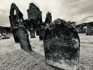 Perspektivische Ansicht mehrerer dunkler, abgerundeter Grabsteine, die in Richtung der massiven, eingerüsteten Ruine der Sweetheart Abbey führen.