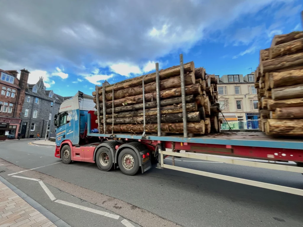Ein blau-roter Lastwagen, der hoch mit frisch geschlagenen Baumstämmen beladen ist, fährt auf einer asphaltierten Straße an grauen Stein- und Putzhäusern vorbei.