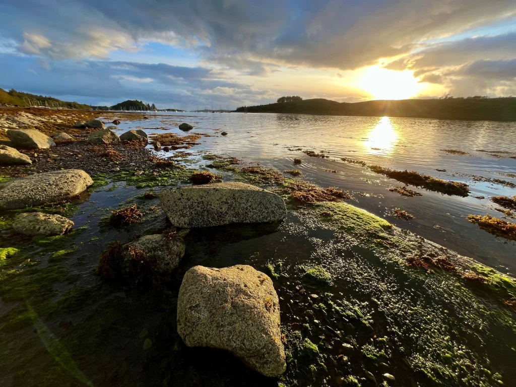 Weitwinkelaufnahme einer Küstenlandschaft bei Sonnenuntergang. Im Vordergrund liegen große, mit grünem Moos und Algen bewachsene Felsen im flachen Wasser. Die Sonne steht tief am Horizont und wirft einen hellen Lichtstreifen auf die Wasseroberfläche.