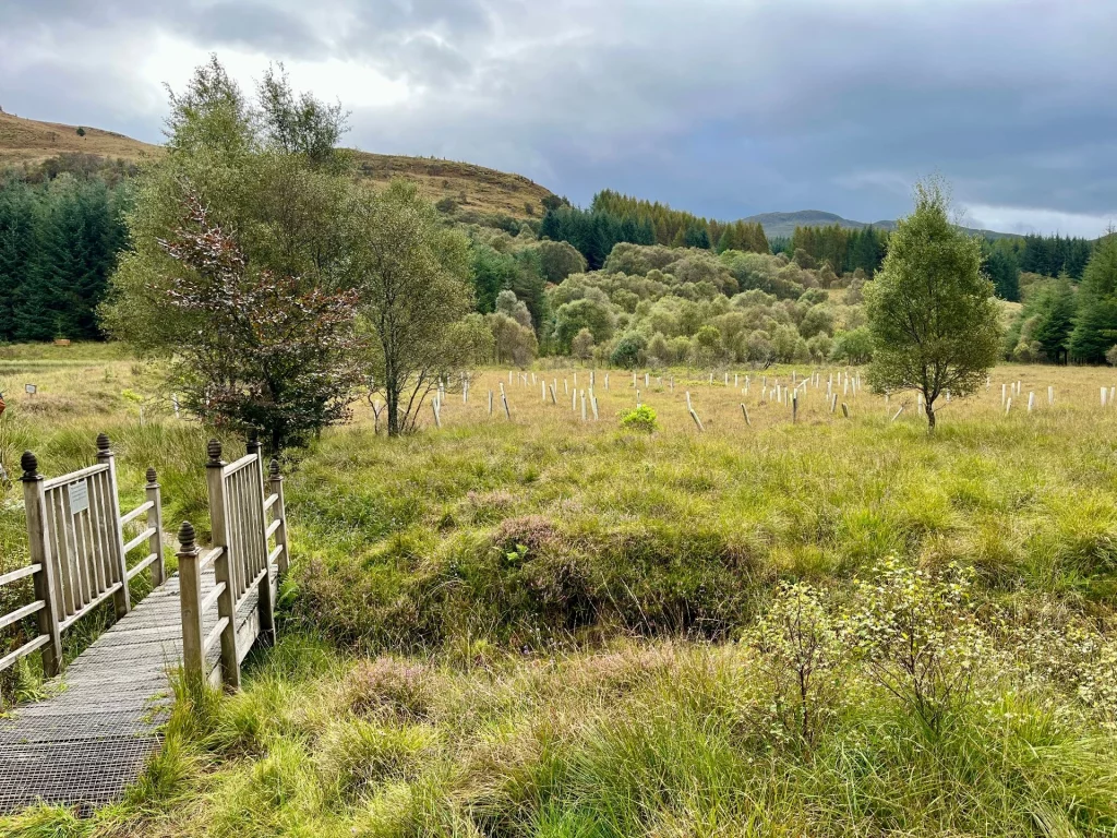 Eine kleine Holzbrücke führt über einen Graben in eine weite, grasbewachsene Moorlandschaft unter bewölktem Himmel.