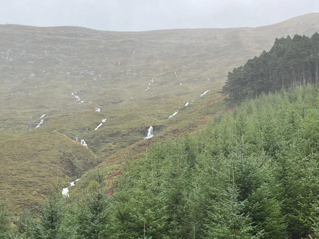 Große Aufnahme eines steilen, von Dunst verschleierten Bergrückens. Rechts ragt ein dunkler Nadelwald ins Bild, während links unzählige kleine Wasserfälle über die moosige Fläche ins Tal stürzen.
