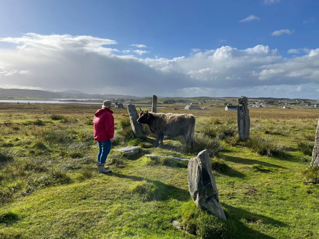 Karin in einer roten Jacke steht auf einer Wiese und beobachtet ein dunkles Hochlandrind, das zwischen den historischen Menhiren steht.