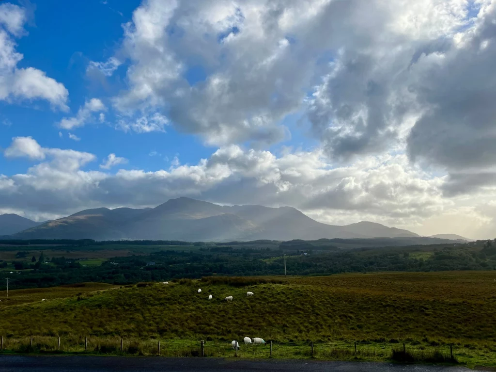 Eine weitläufige Landschaftsaufnahme in den schottischen Highlands. Im Vordergrund weiden weiße Schafe auf einem grünen Hügel. Im Hintergrund erstreckt sich das gewaltige Ben-Nevis-Massiv unter einem dramatischen Wolkenhimmel, durch den einzelne Sonnenstrahlen brechen.