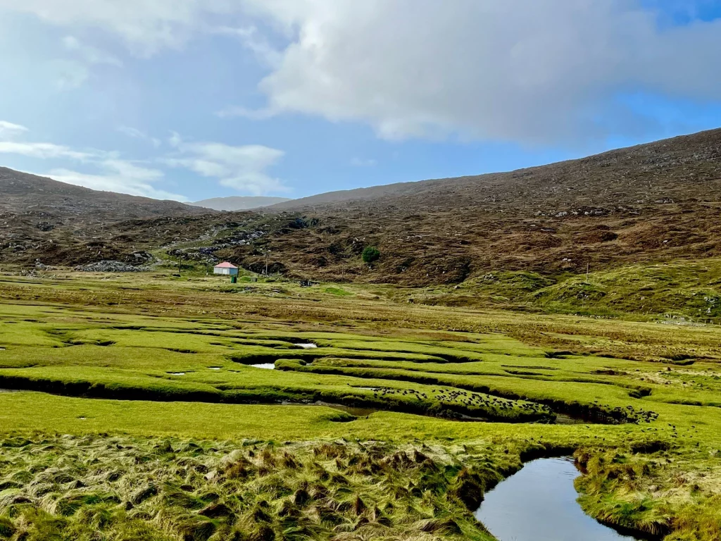 Landschaftsaufnahme eines weiten Tals mit leuchtend grünen Grasflächen, die von schmalen, dunklen Wasserarmen durchzogen sind. Im Hintergrund steigen karge, braune Hügel sanft an. Ein kleines weißes Haus mit rotem Dach steht einsam am Fuße der Hänge unter einem hellblauen Himmel mit weißen Cumuluswolken.