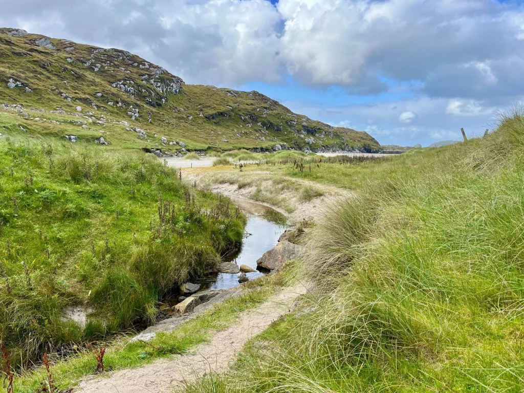 Ein steiniger Pfad führt durch hohes Dünengras zu einem schmalen, gewundenen Bachlauf, der sich durch die grüne Landschaft bis zum hellen Sandstrand und dem türkisblauen Meer unter einem bewölkten Himmel schlängelt.