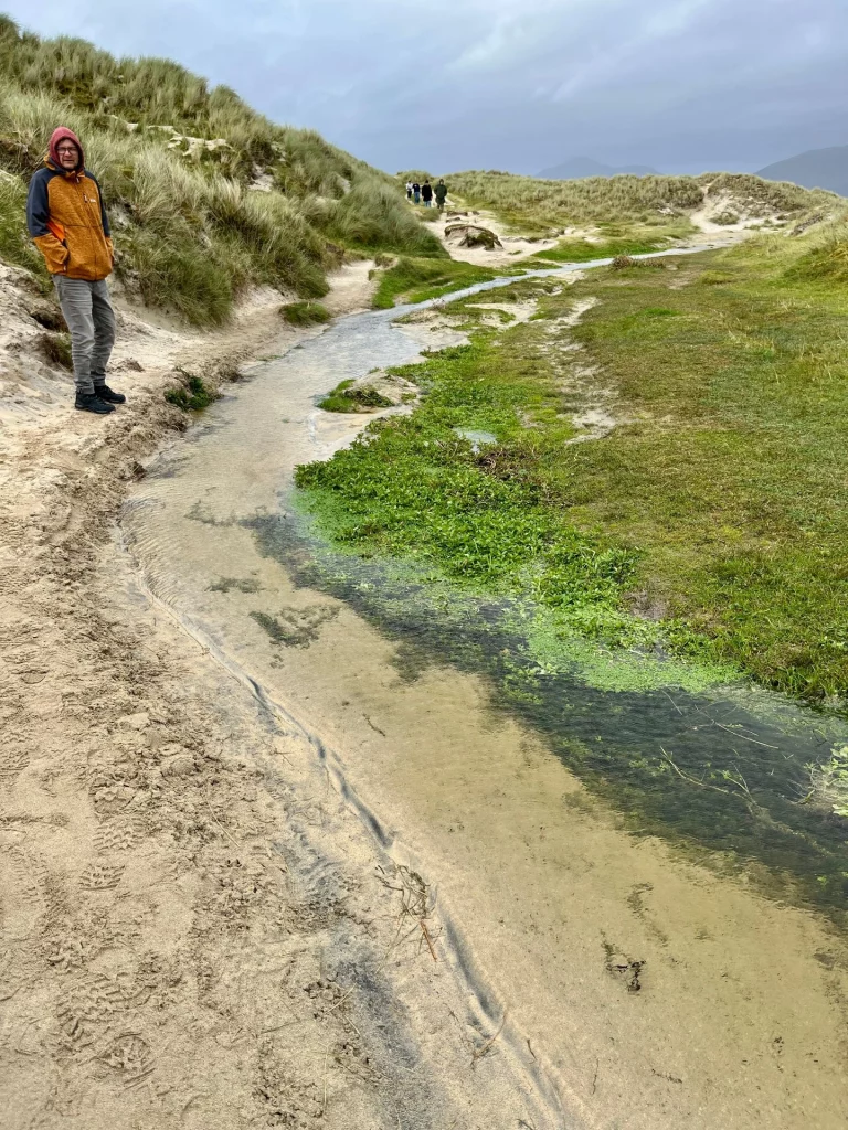 Ein Wanderer in oranger Jacke steht an einem sandigen Pfad, der durch grüne Dünen und flache Wasserläufe in Richtung Küste führt.