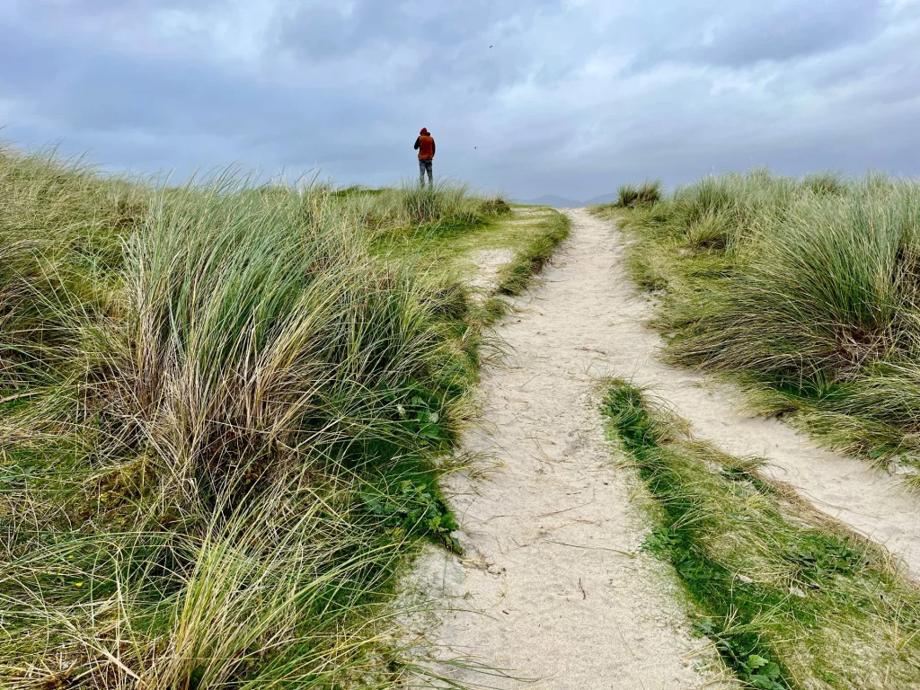Ein schmaler Sandweg windet sich durch hohes Dünengras hinauf zu einem Aussichtspunkt, an dem eine Person in die Ferne blickt.