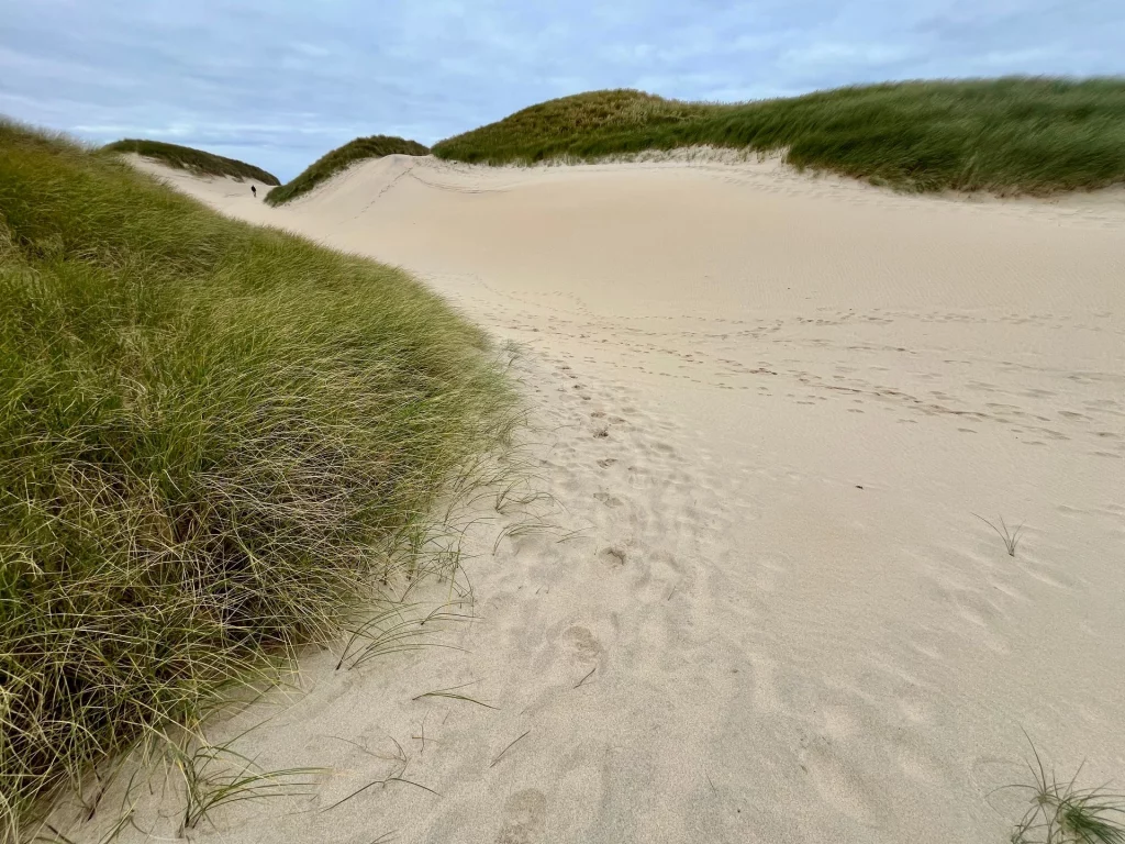 Nahaufnahme eines Pfades durch die Dünen, gesäumt von Büscheln aus grünem Strandhafer. Der feine, helle Sand zeigt sanfte Wellenstrukturen und vereinzelte Trittspuren. Die Hügel des Dünengrases bilden eine natürliche Barriere gegen den bewölkten Horizont.