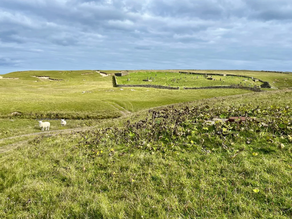 Ein weiter Blick über grüne, hügelige Weiden, die durch traditionelle Steinmauern in einzelne Parzellen unterteilt sind.