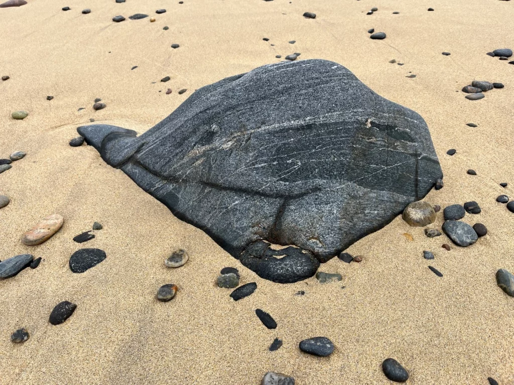 Eine Nahaufnahme eines großen, dunklen und flachen Felsens, der halb im hellen Sand vergraben ist. Die Form des Steins erinnert an die Silhouette eines Wals oder einer Robbe. Um den großen Stein herum liegen viele kleine, bunte Kieselsteine verstreut.