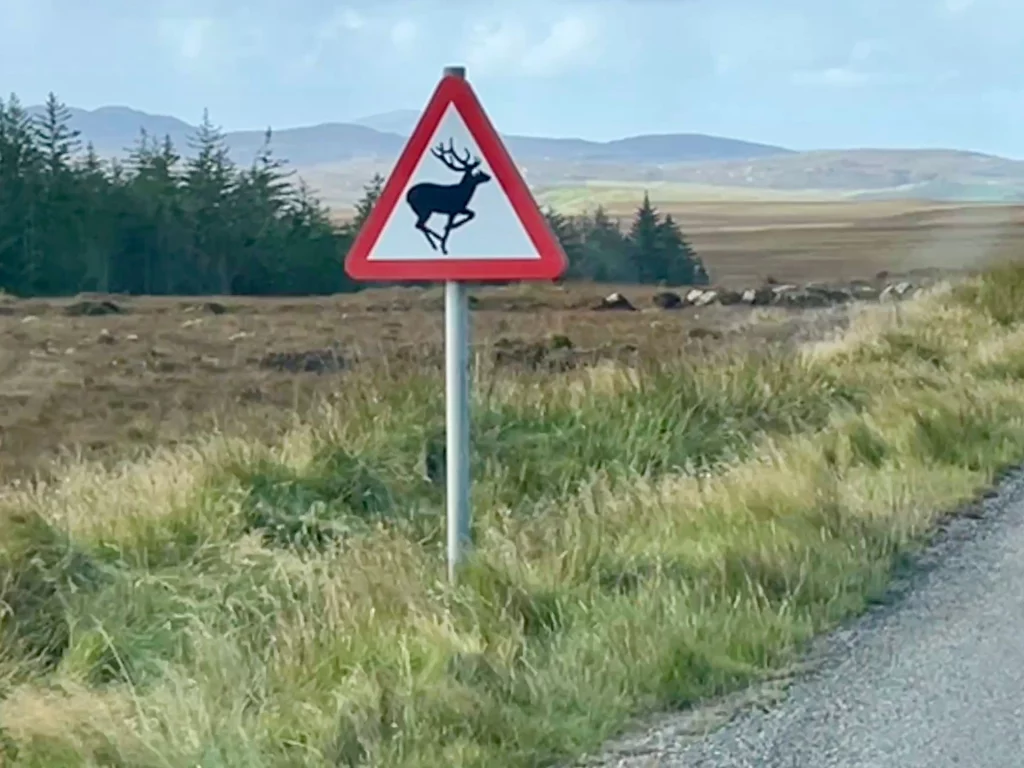 Ein rot umrandetes, dreieckiges Verkehrswarnschild mit dem Symbol eines springenden Hirschs vor einer weiten, herbstlichen Hügellandschaft.