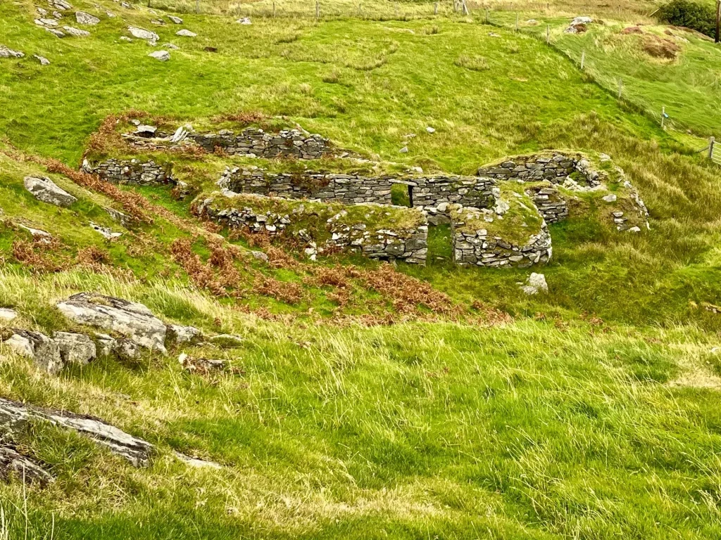 Überreste von kleineren Steinstrukturen oder Nebengebäuden an einem grünen Hang, teilweise von Gras und Farnen überwachsen.
