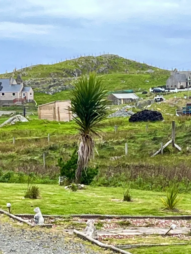 Blick von einem gepflegten Garten mit einer Palme und kleinen Steinfiguren auf die umliegende Hügellandschaft von Lewis mit vereinzelten Wohnhäusern im Hintergrund.