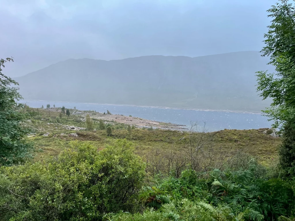 Eine weite Landschaftsaufnahme eines Sees unter grauem Himmel. Das Ufer ist mit grünem Gebüsch und Gräsern bewachsen, während die Berge im Hintergrund im Dunst verschwinden.