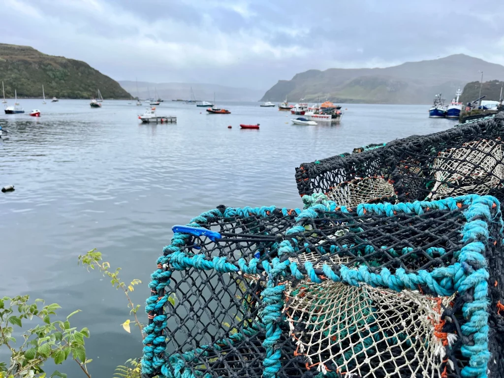 Nahaufnahme von gestapelten, blauen Hummerkörben am Kai, im unscharfen Hintergrund sind der Hafen und die umliegenden Hügel zu sehen.