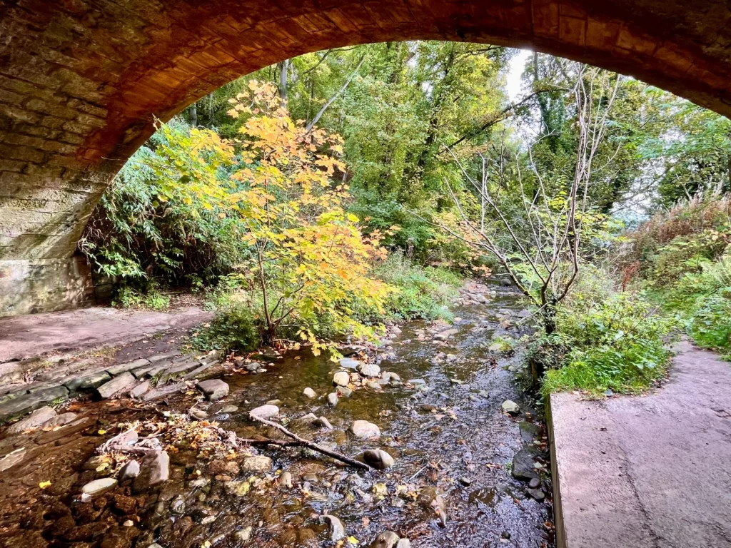 Ein herbstlicher Blick unter der alten Steinbrücke hindurch auf den Rosemarkie Burn.
