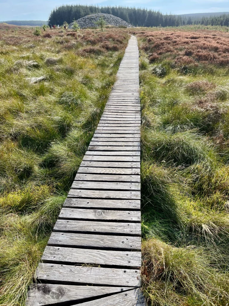 Ein schmaler Holzsteg aus grauen Planken führt durch eine grüne, grasbewachsene Moorlandschaft zu einem großen Steinhügel unter blauem Himmel.