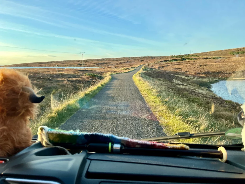 Blick aus der Perspektive eines Fahrers durch die Windschutzscheibe eines Autos auf eine schmale, asphaltierte Straße, die sich durch eine karge, weite Heide- und Moorlandschaft in Richtung Horizont zieht.