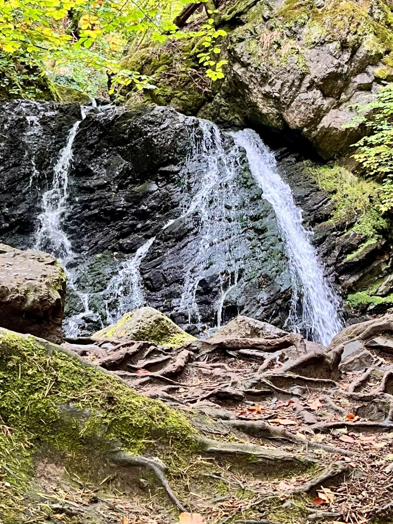 Naturfotografie eines Wasserfalls im Fairy Glen, Rosemarkie, Schottland. Das Wasser fließt über dunkle Felsen in einem üppig grünen Wald mit moosbedeckten Wurzeln im Vordergrund.
