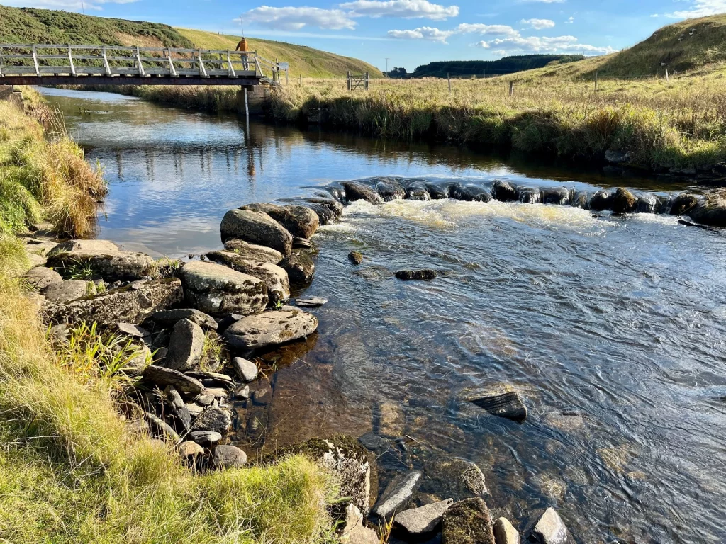Eine weite Aufnahme des Flusses, der im Vordergrund über eine künstlich angelegte Schwelle aus großen, dunklen Steinen plätschert. Links im Mittelgrund überspannt die Holzbrücke das Wasser, umgeben von grünen und gelben Grashängen.