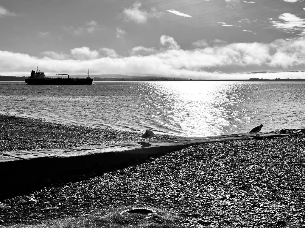 Eine kontrastreiche Schwarz-Weiß-Aufnahme einer Küstenlandschaft. Im Vordergrund führt eine niedrige Steinmauer über einen Kieselstrand zum Wasser; zwei Möwen rasten auf der Mauer. Auf dem glitzernden Meer im Mittelgrund fährt links ein großes Tankschiff als dunkle Silhouette. Der Hintergrund zeigt eine ferne Küstenlinie unter einer dichten, tief hängenden Wolkendecke, durch die helles Sonnenlicht auf die Wasseroberfläche bricht.