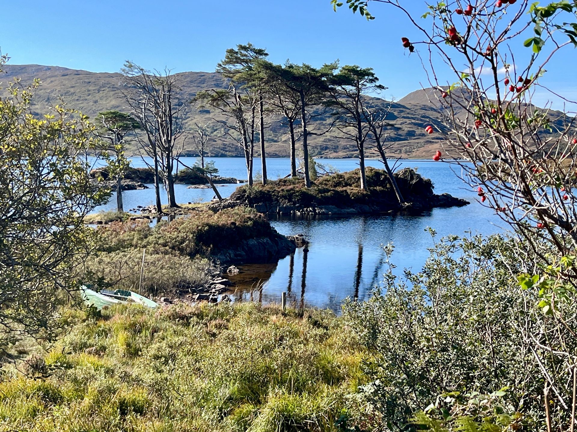 Ardvreck Castle & Loch Assynt: Von Meerjungfrauen-Legenden und dem Highland-Fotorausch