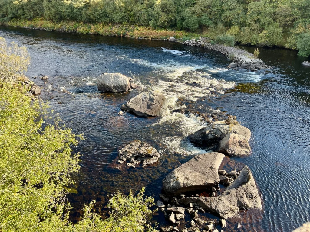 Ein ruhiger Flusslauf mit dunklem, klarem Wasser, das sanft über Steine fließt. Am Ufer stehen herbstlich gefärbte Bäume und Sträucher, die eine dichte, fast mystische Atmosphäre erzeugen.