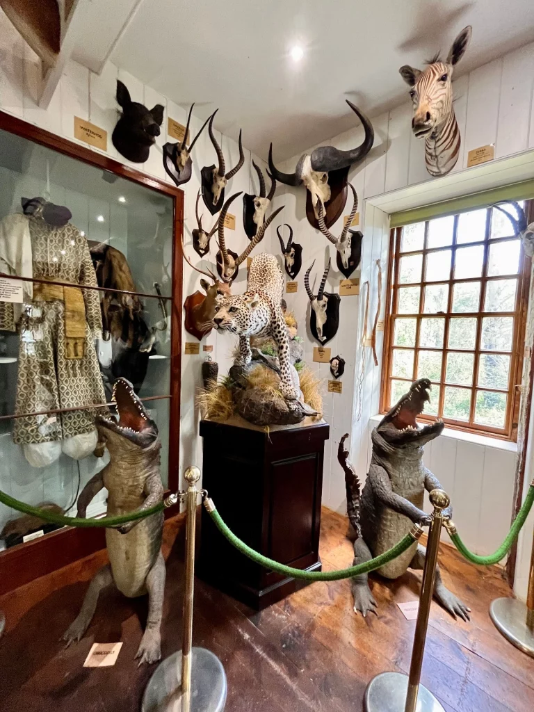 Innenansicht eines Museums mit einem auf einem Sockel springenden Leoparden-Präparat, flankiert von zwei aufrecht stehenden Krokodilen mit weit geöffnetem Maul.