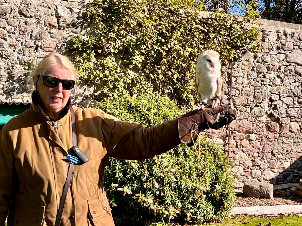 Eine Frau mit Sonnenbrille und brauner Jacke hält eine weiße Schleiereule auf ihrem behandschuhten Arm. Die Szene findet in einem Garten vor einer mit Efeu bewachsenen Steinmauer bei sonnigem Wetter statt.