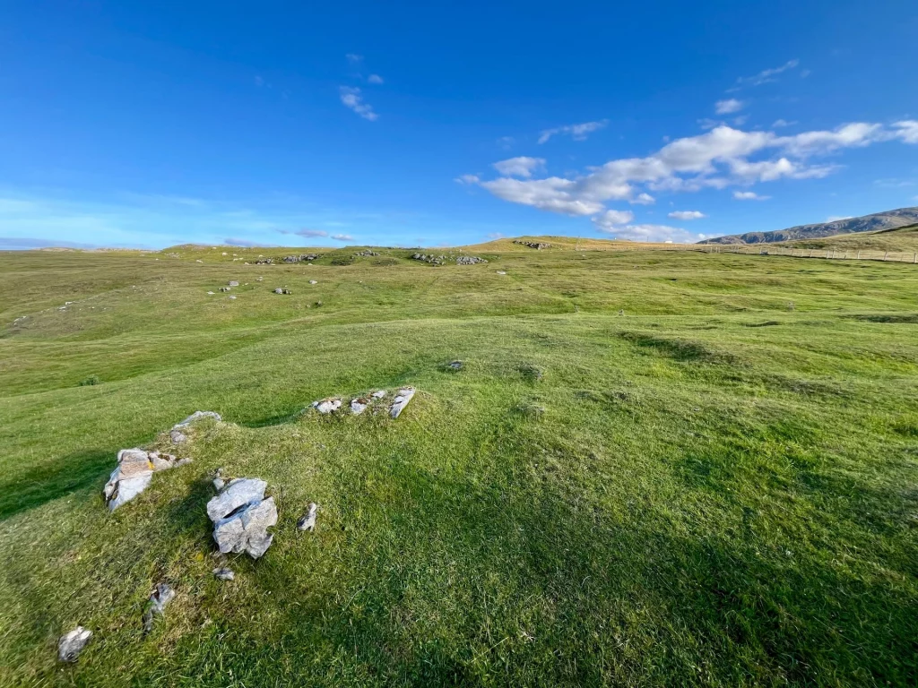 Eine weite, sanft hügelige Graslandschaft unter strahlend blauem Himmel. Vereinzelt ragen graue Felsbrocken aus dem satten Grün hervor.