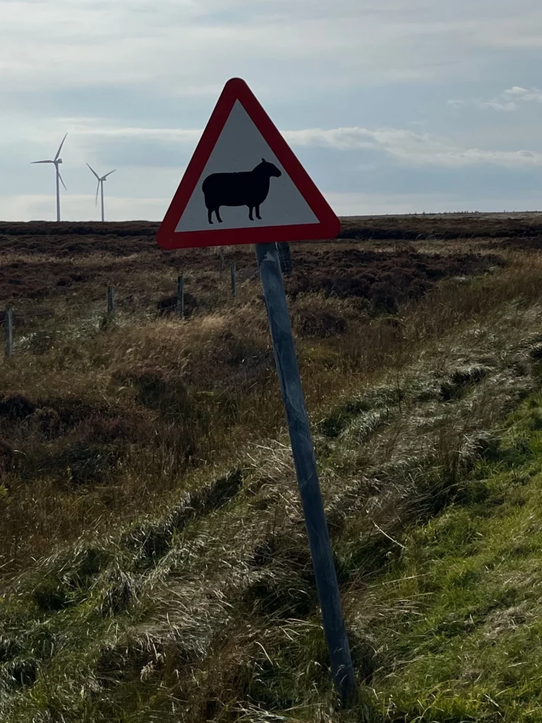 Ein dreieckiges Warnschild mit einem Schaf-Symbol vor einer kargen Moorlandschaft mit Windrädern im Hintergrund.