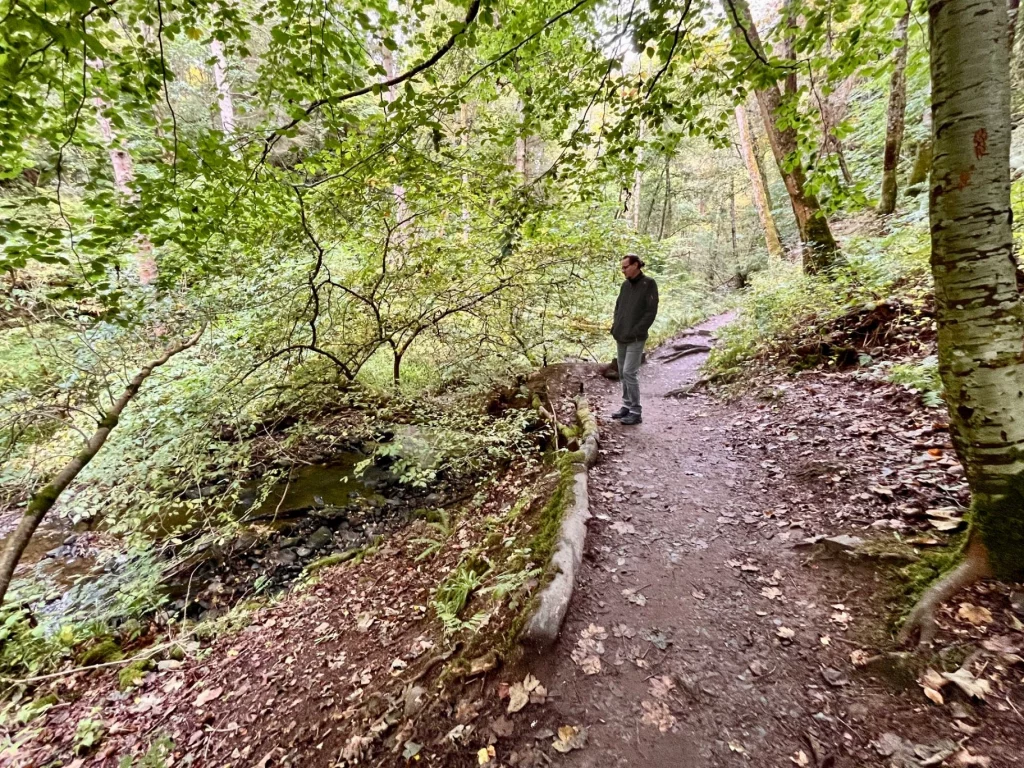 Ein Mann steht auf einem erdigen Waldweg im Fairy Glen, umgeben von dichtem Gebüsch und hohen Bäumen.