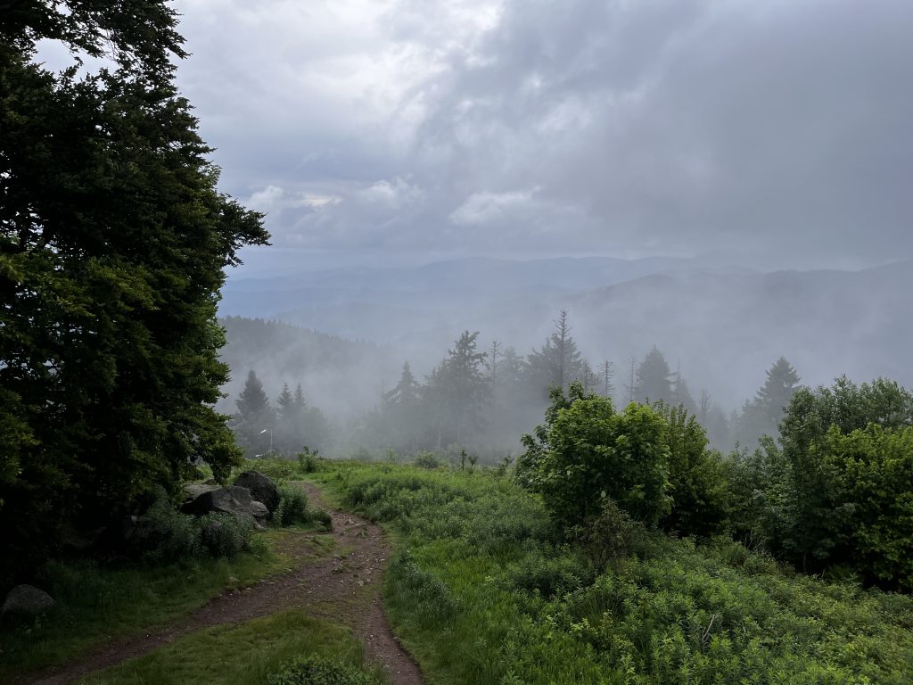 Auf dem Blauen geht es mystisch zu.