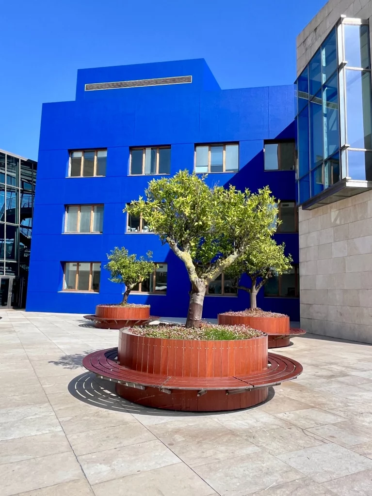 Moderner Innenhof mit runden Holzsitzbänken, in denen kleine Olivenbäume gepflanzt sind, vor einer leuchtend tiefblauen Gebäudewand unter strahlend blauem Himmel.