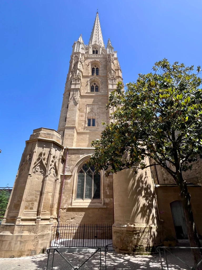 Die beeindruckende Sandsteinfassade und der spitze Kirchturm der gotischen Kathedrale Sainte-Marie in Bayonne unter strahlend blauem Himmel, eingerahmt von einem grünen Baum im Vordergrund.