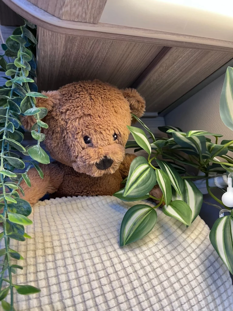 Der kleine braune Plüschbär Bärbel schaut gemütlich zwischen rankenden Pflanzen und einer hellen Decke im Kastenwagen hervor.