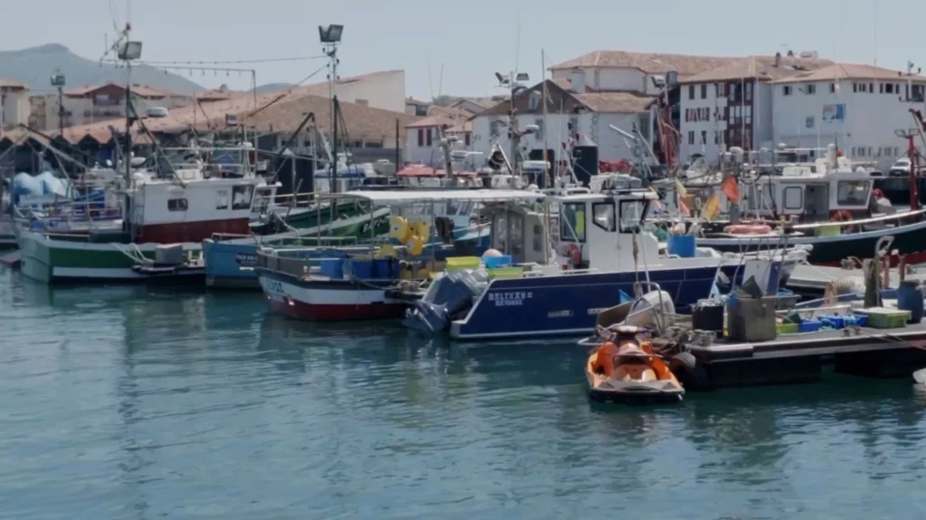 Der sonnendurchflutete Hafen von Saint-Jean-de-Luz mit Fischerbooten im türkisblauen Wasser vor einer Kulisse traditioneller baskischer Gebäude.