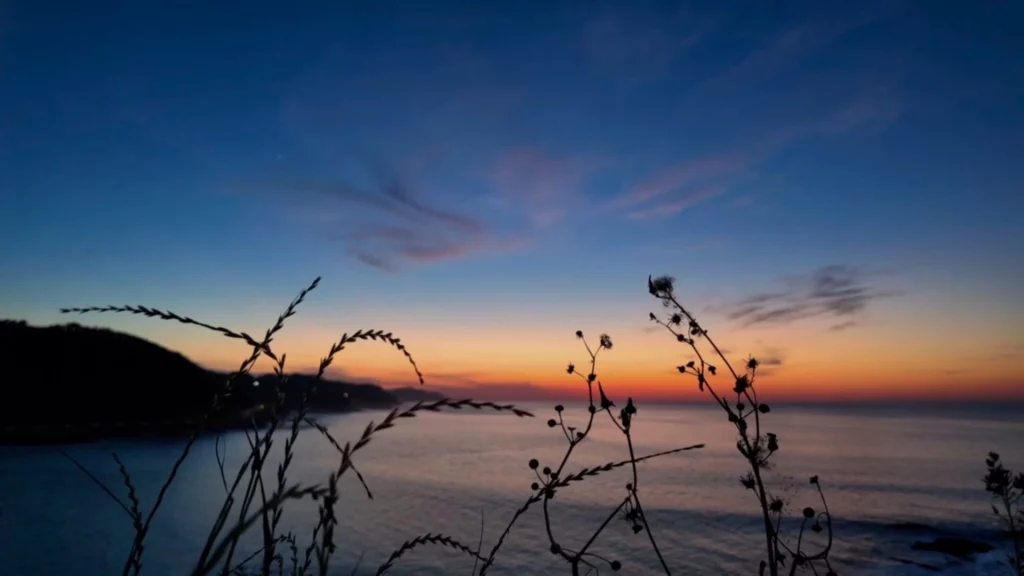Silhouetten von Gräsern und wilden Trockenblumen im Vordergrund vor einem weiten Blick auf das ruhige Meer bei Sonnenuntergang. Am Horizont leuchtet der Himmel in warmem Orange und geht nach oben in ein tiefes Blau mit sanften Wolkenschleiern über. Links zeichnet sich die dunkle Silhouette einer Steilküste ab.