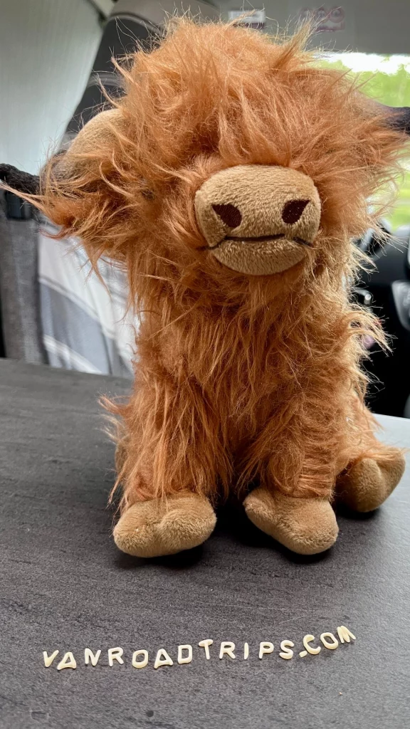 Maskottchen Angus bewacht penibel unseren ausgelegten Blog-Namen, bevor die Buchstabensuppe im Topf landet.